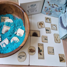 Load image into Gallery viewer, Sealife Activity Kit