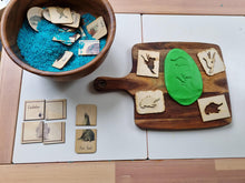 Load image into Gallery viewer, Australian Animal Activity Kit