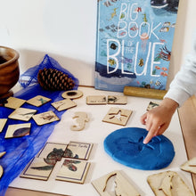 Load image into Gallery viewer, Sealife Activity Kit with Book