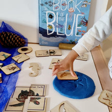 Load image into Gallery viewer, Sealife Activity Kit with Book