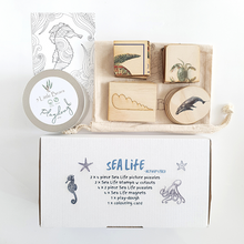 Load image into Gallery viewer, Sealife Activity Kit with Book
