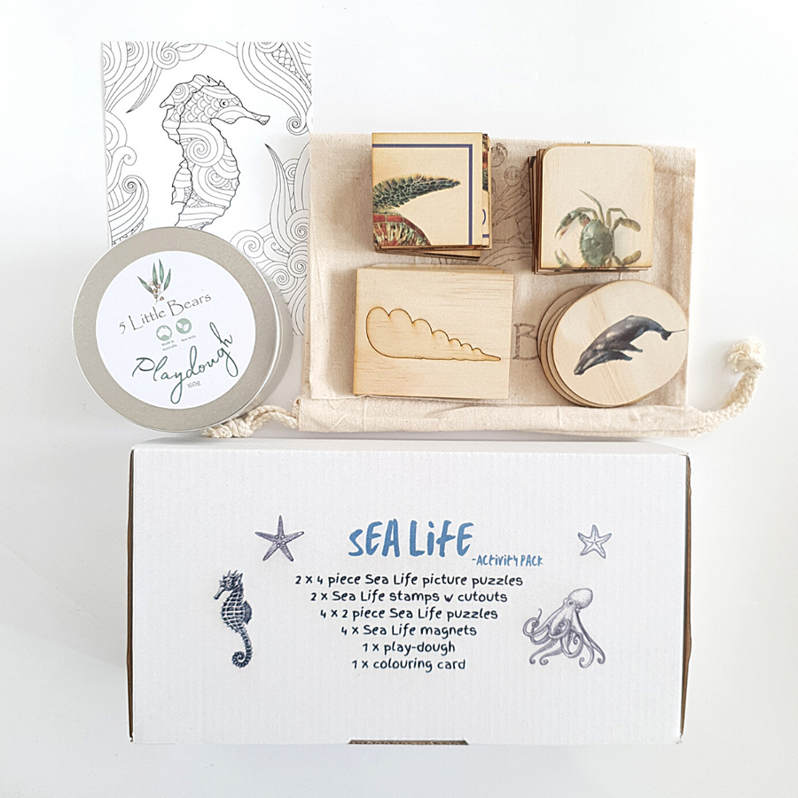 Sealife Activity Kit with Book